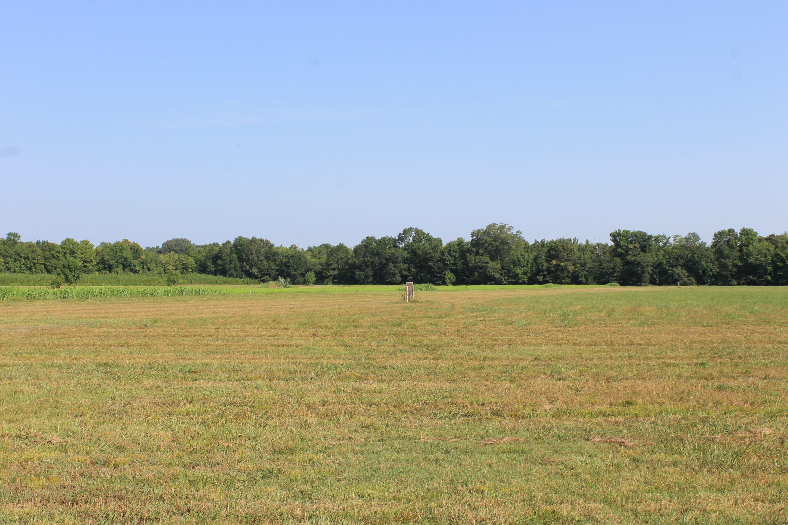210 Acre Turn-Key Recreational Property for Sale in Dayton, Alabama