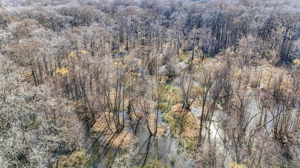 Rodney MS Hunting Land with Tiny Home & Lodge Potential