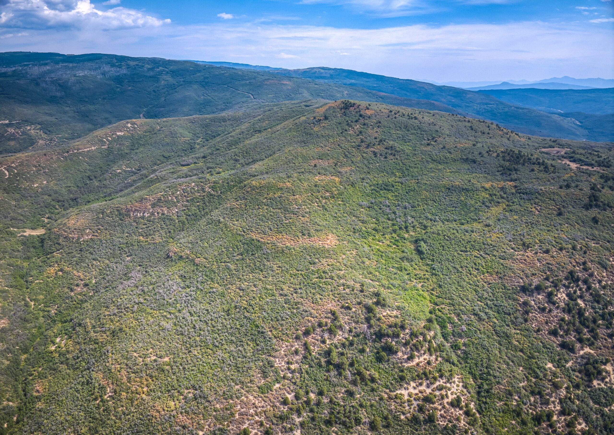 Whiskey Jug Ranch 465 Acre CO Hunting And Recreation Property With Cabin