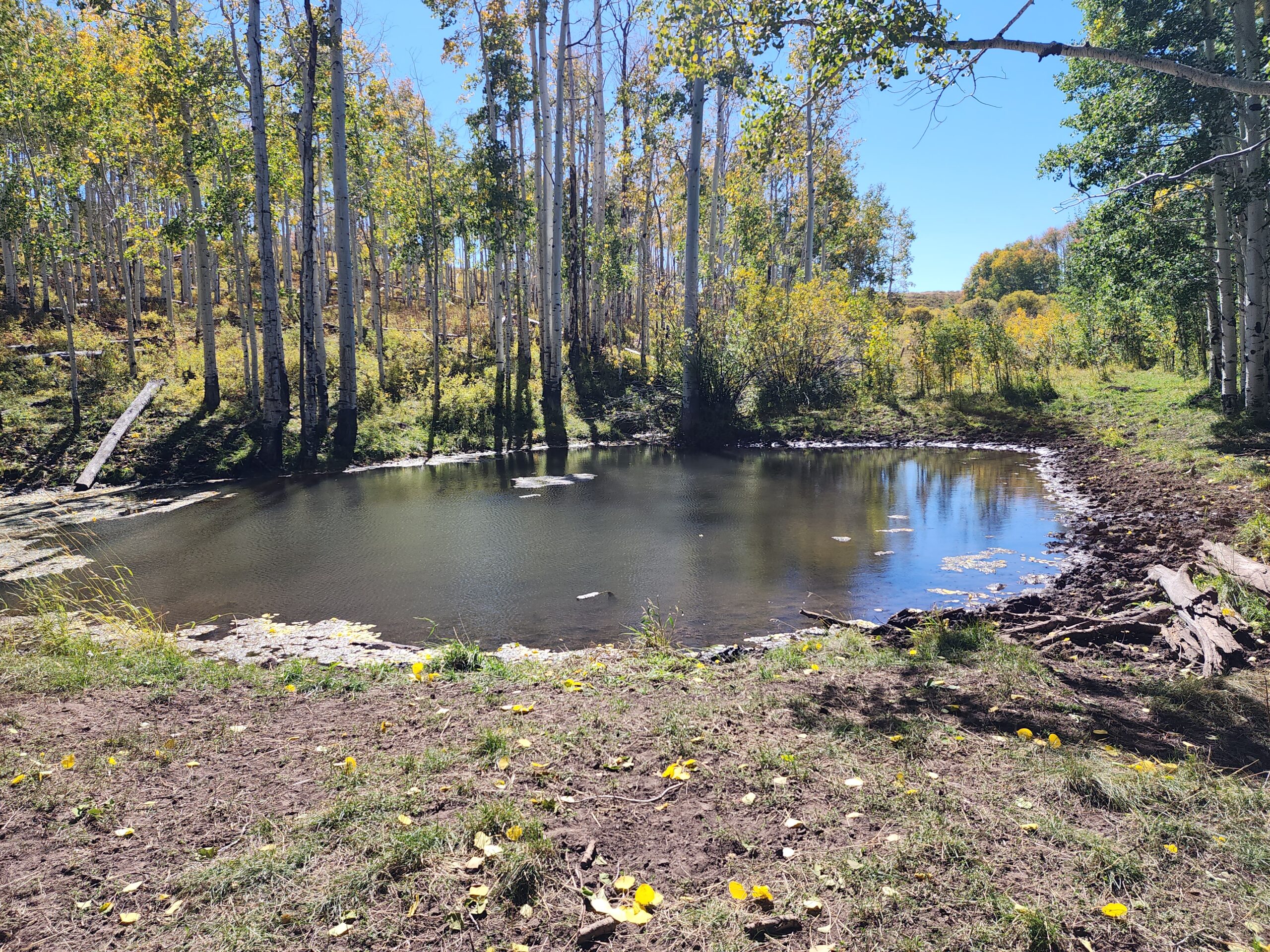 Western Colorado Ranch with Cabins, Ponds, Springs For Sale