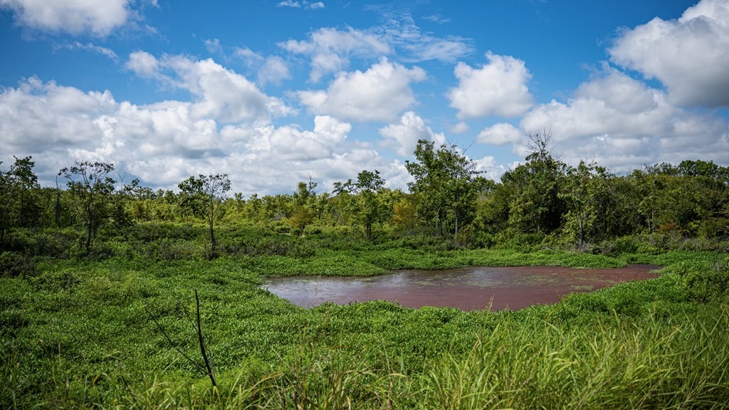 Tchula MS Delta 97 Acres