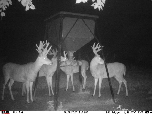 The Perfect 160 in Franklin County Kansas