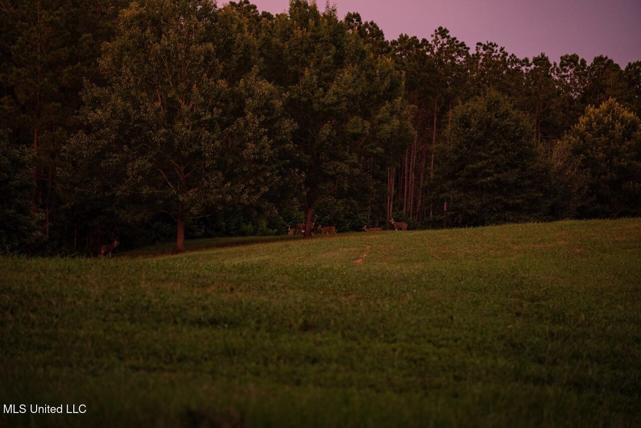 Petit Amite – Luxury Hunting Retreat in Amite County, MS