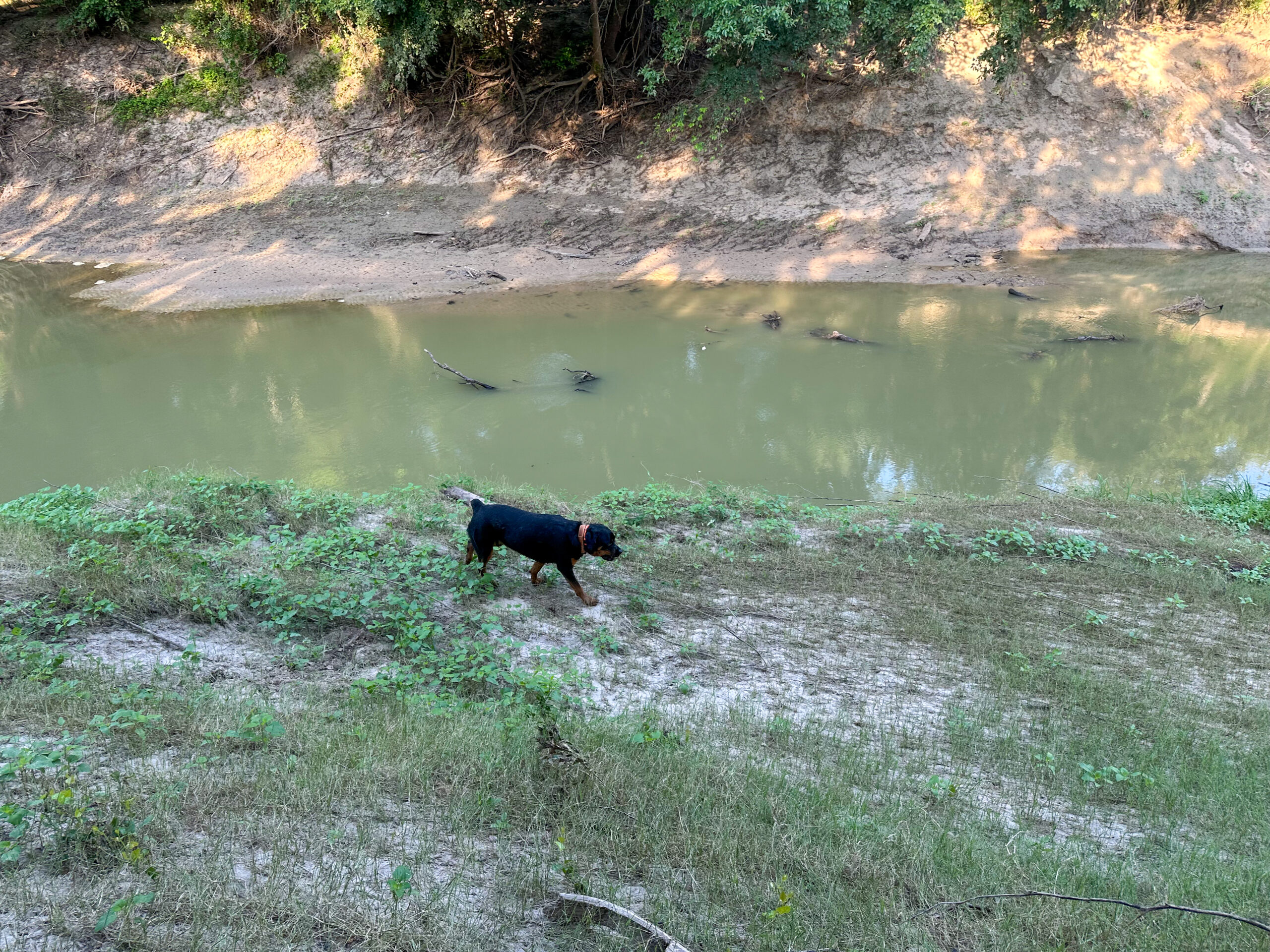 23.866 Acres of Riverfront Land for Sale in Coryell County, Texas