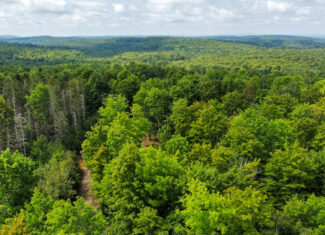 Northern Maine Recreational Land | 44 Acres