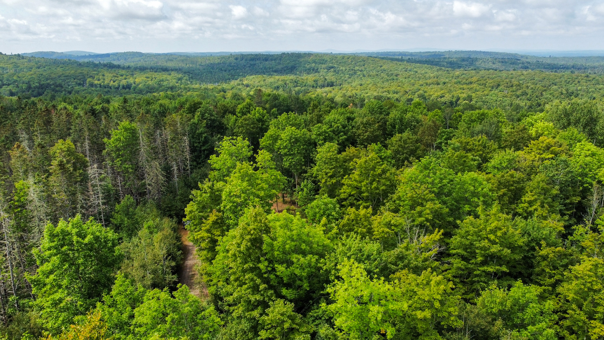 Northern Maine Recreational Land | 44 Acres