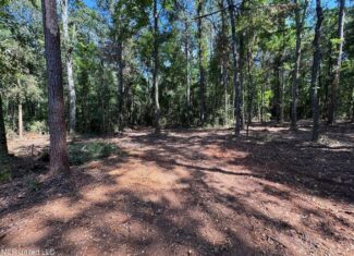 32 +/- Acres Near McComb, MS – Hunting, Timber, Homesite