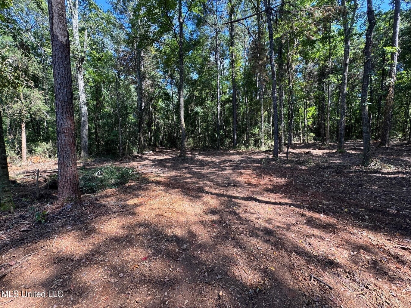 32 +/- Acres Near McComb, MS – Hunting, Timber, Homesite