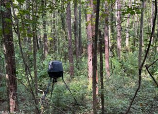 38 acres in Mississippi Near Louisiana State Line