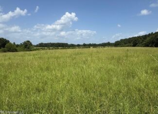 Mississippi Land for Sale Near Osyka MS & LA State Line