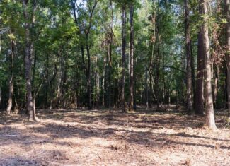 Affordable Multi-Use Recreational Tract