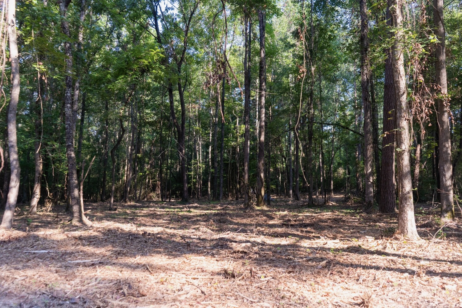 Affordable Multi-Use Recreational Tract