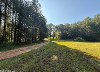 40 Acres with Country Home for Sale in Pike County MS