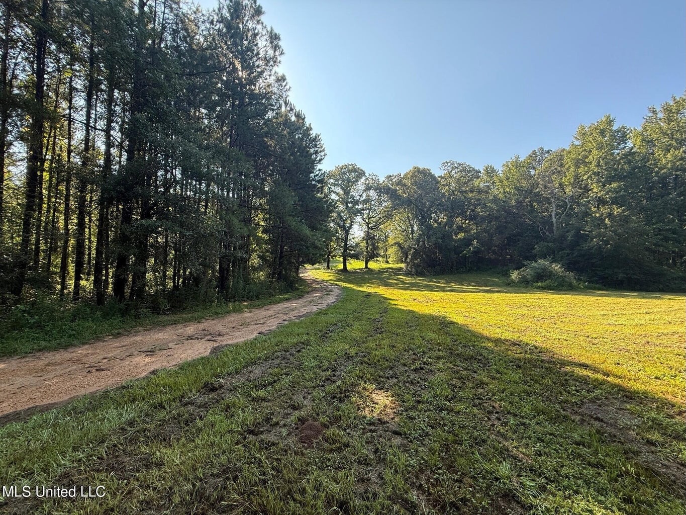40 Acres with Country Home for Sale in Pike County MS