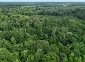 345+- Acres on Bogue Chitto River Summit MS