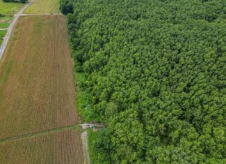 Tchula MS Delta 97 Acres