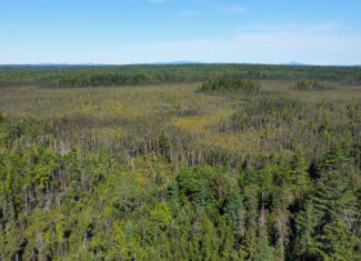 516 Acres Bordering State Wildlife Management Area