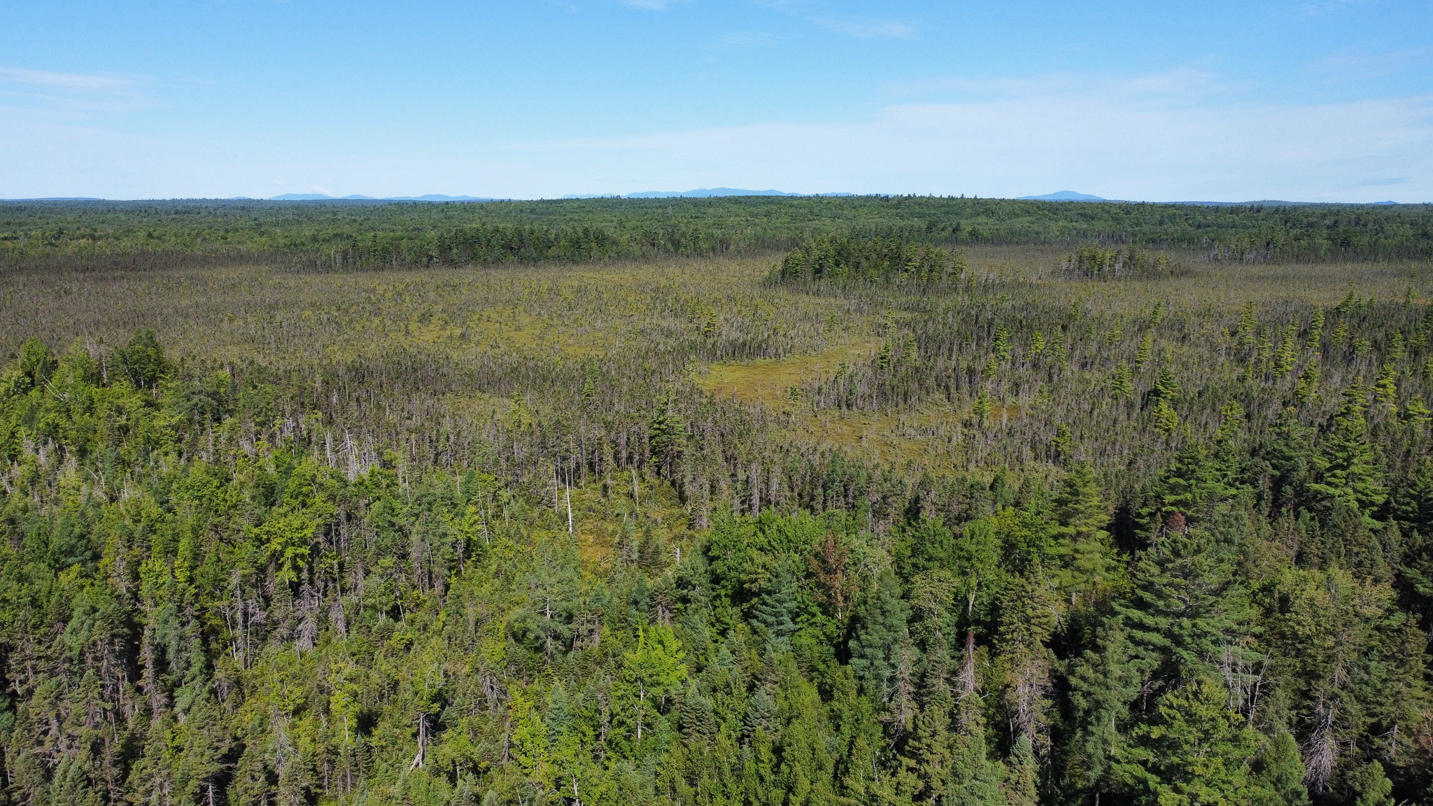 516 Acres Bordering State Wildlife Management Area