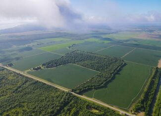 500 +/- Acres Precision Leveled and Irrigated Farmland