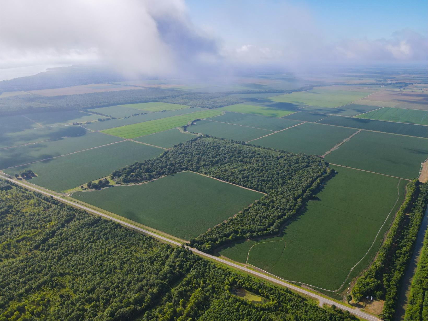 500 +/- Acres Precision Leveled and Irrigated Farmland