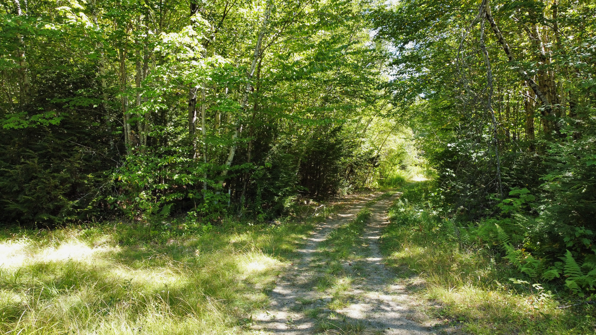 Private 25-Acre Woodlot with Trails & Recreation Access