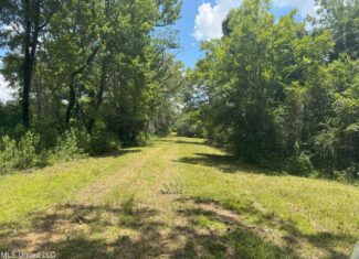 148 Acre Timberland Hunting Homesite Lincoln County, MS
