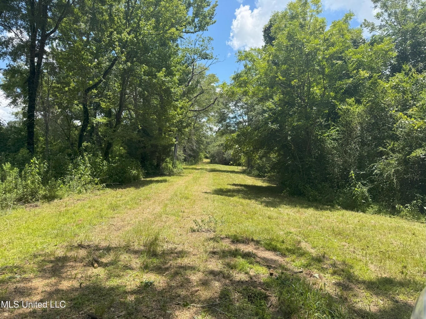 148 Acre Timberland Hunting Homesite Lincoln County, MS