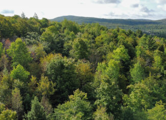 20 Acres with Katahdin Views – Springfield, Maine