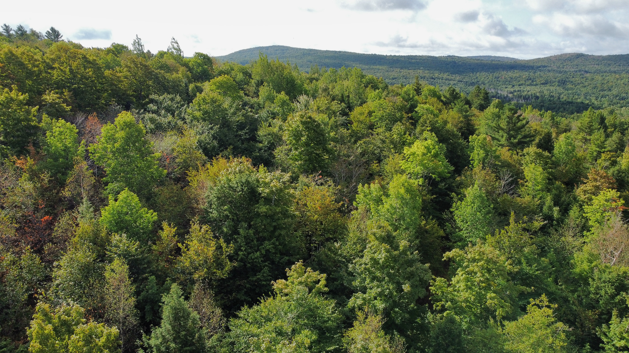 20 Acres with Katahdin Views – Springfield, Maine