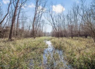 Final Flyway – Jefferson County MS Duck Hunting Land