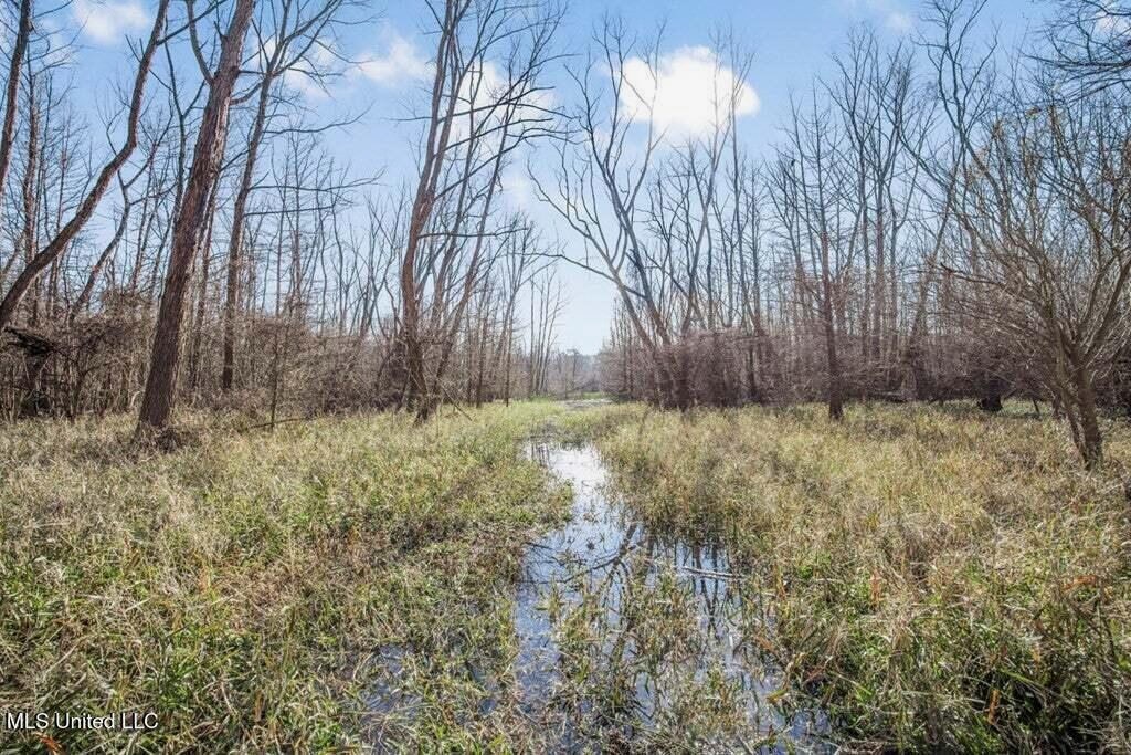 Final Flyway – Jefferson County MS Duck Hunting Land