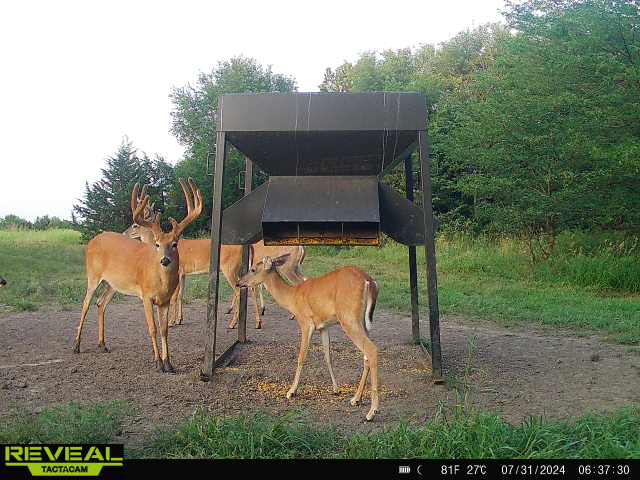The Perfect 160 in Franklin County Kansas