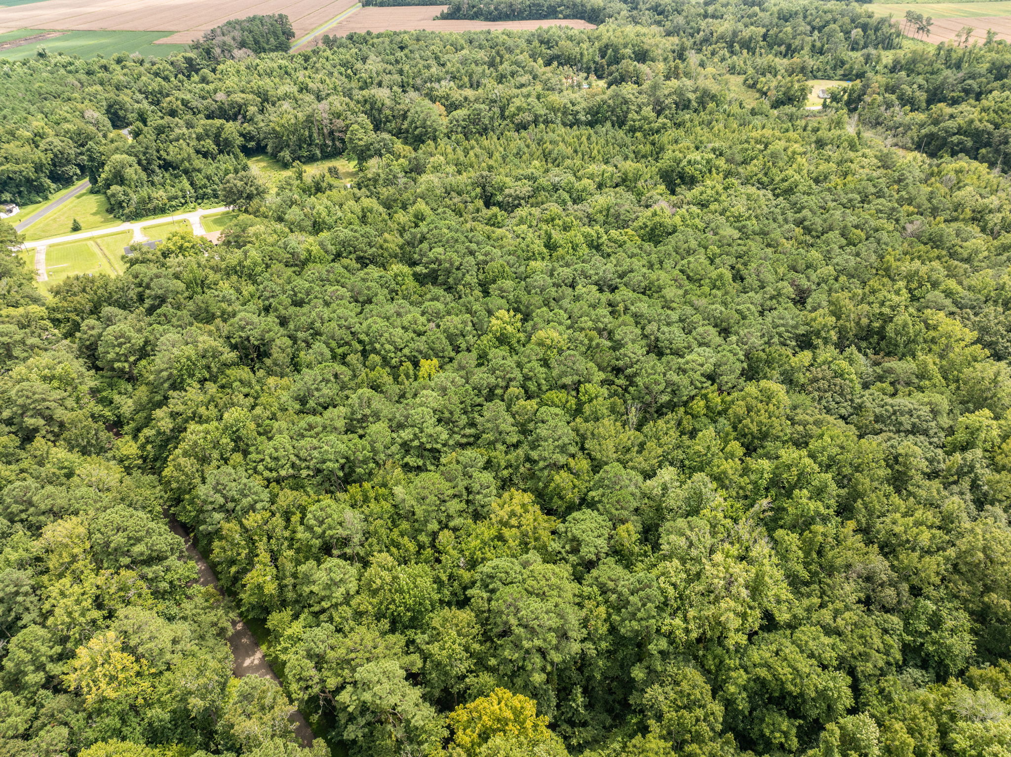 17 Acres Hunting Land with Timber for Sale in Aurora, NC