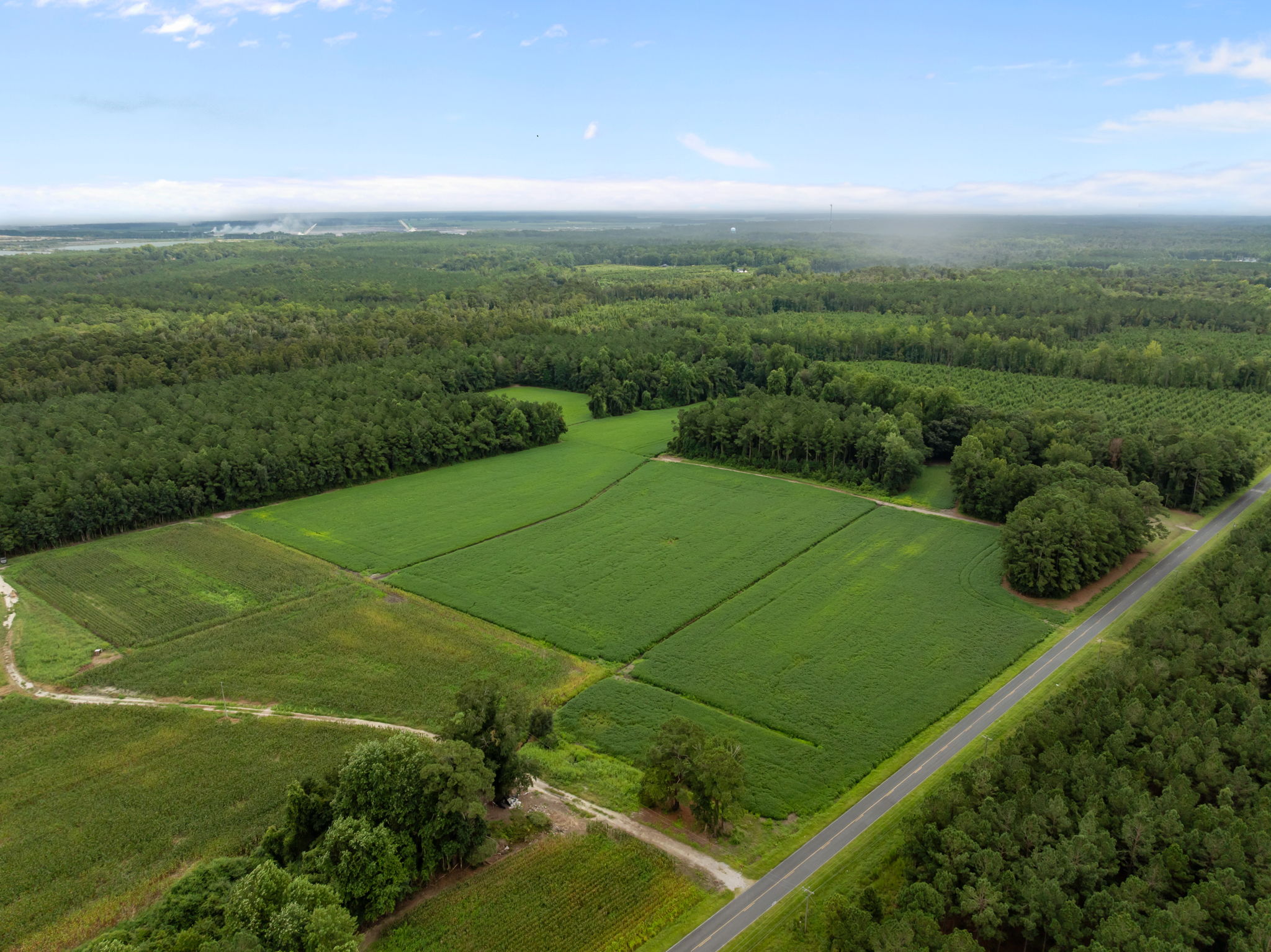305 Acres Farmland & Timber with Hunting in NC