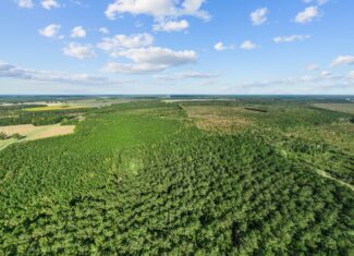 470-AC Prime Hunting Land for Sale in Pitt County, NC