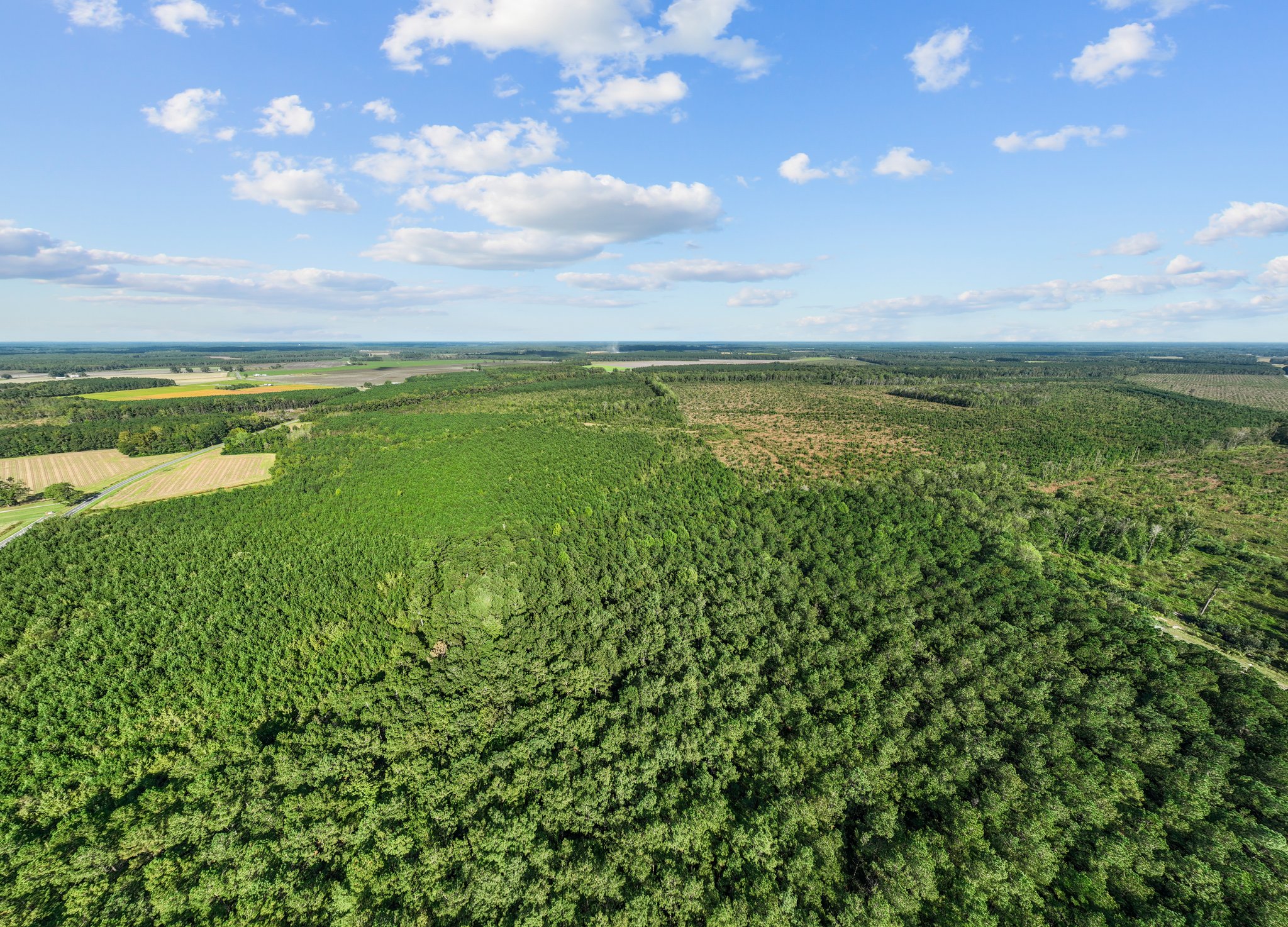 470-AC Prime Hunting Land for Sale in Pitt County, NC