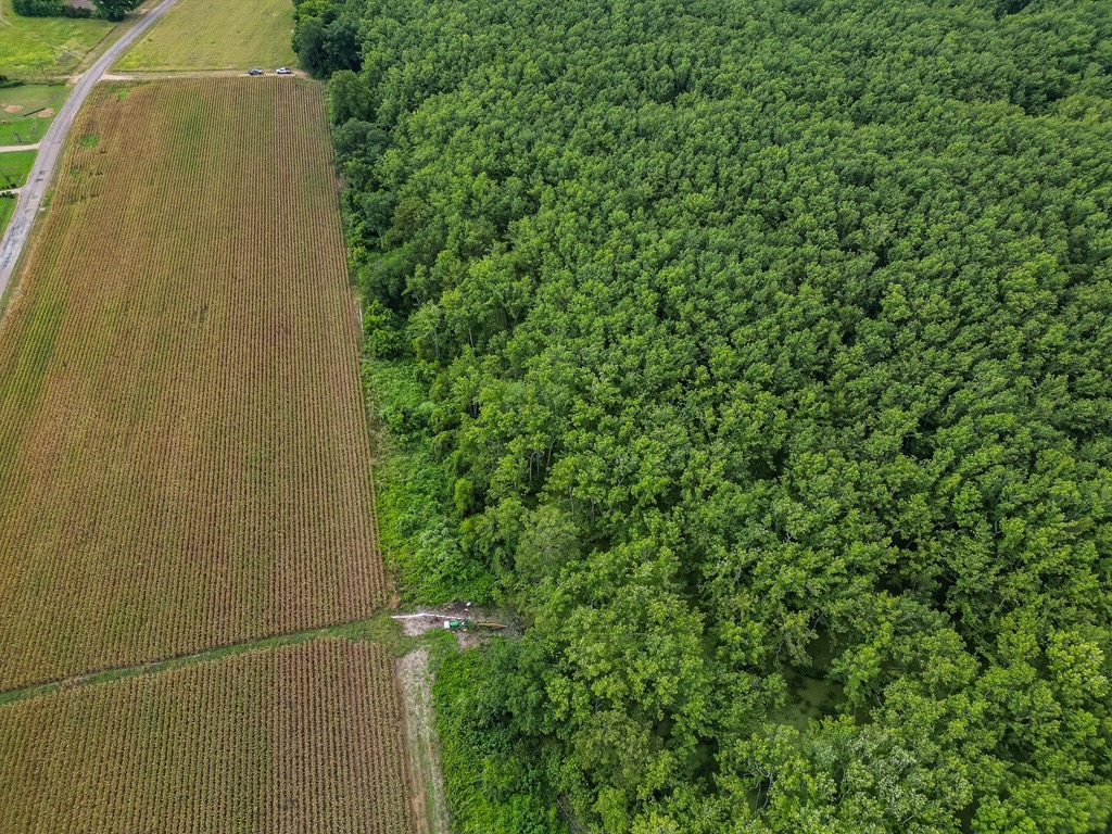 Tchula MS Delta 97 Acres