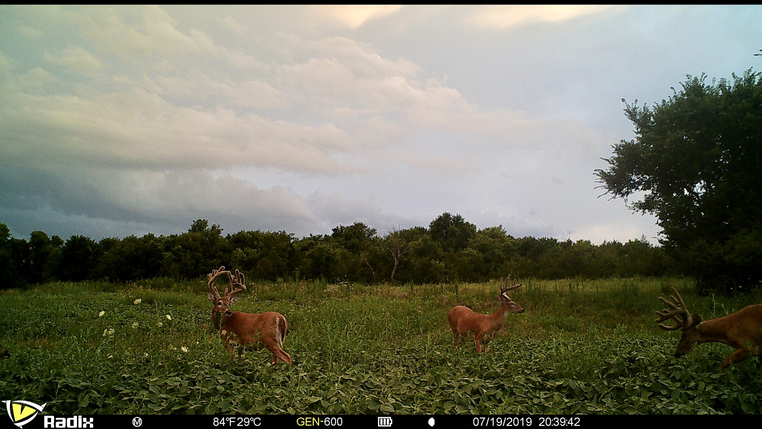The Perfect 160 in Franklin County Kansas