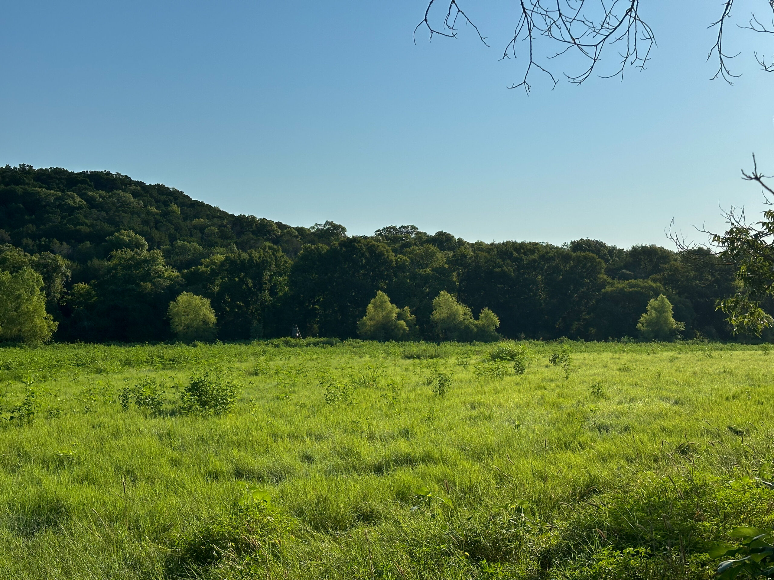 23.866 Acres of Riverfront Land for Sale in Coryell County, Texas