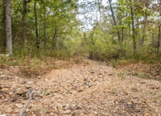Hunting Property and Home in the Missouri Ozarks