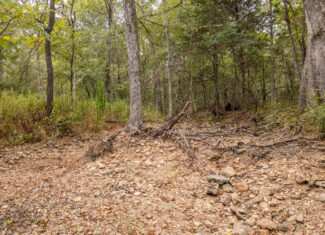 Hunting Property and Home in the Missouri Ozarks