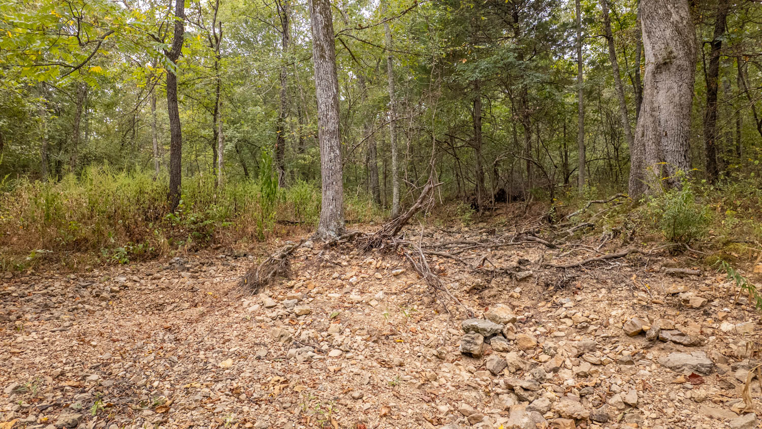 Hunting Property and Home in the Missouri Ozarks