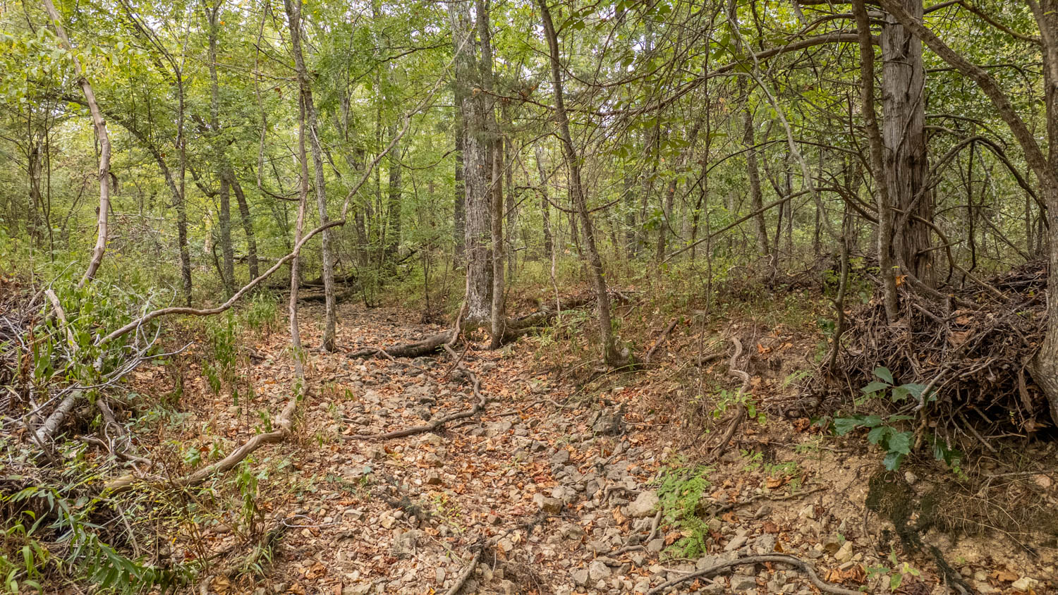 Hunting Property and Home in the Missouri Ozarks