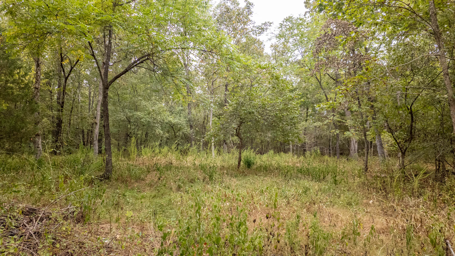 Hunting Property and Home in the Missouri Ozarks