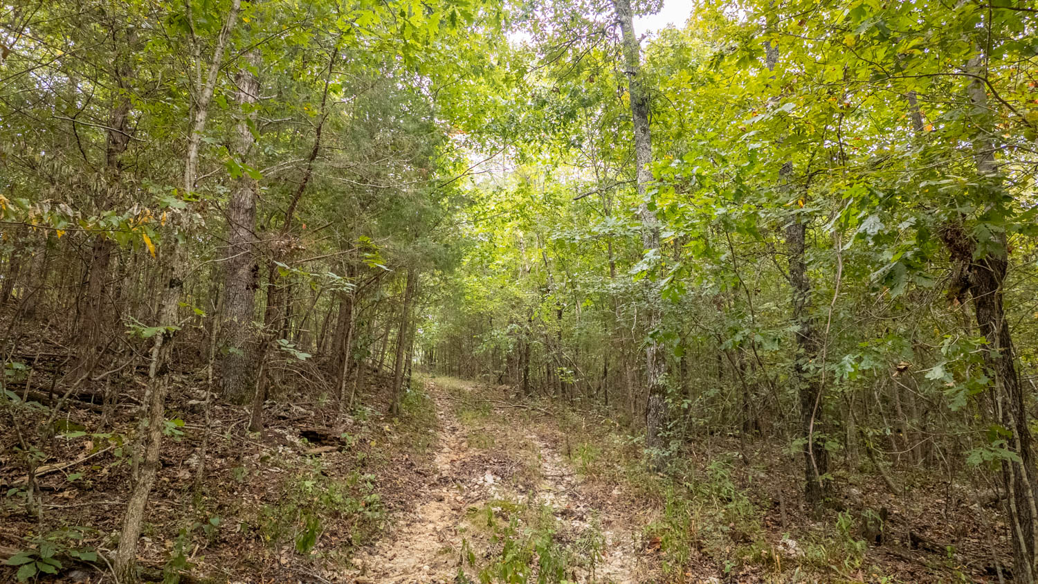 Hunting Property and Home in the Missouri Ozarks