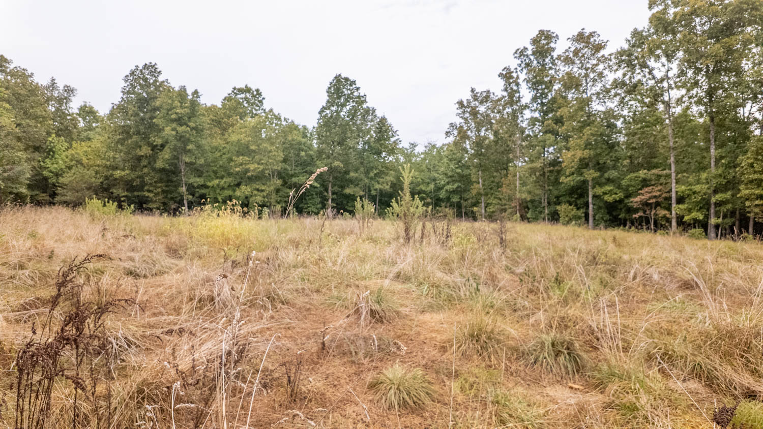 Hunting Property and Home in the Missouri Ozarks