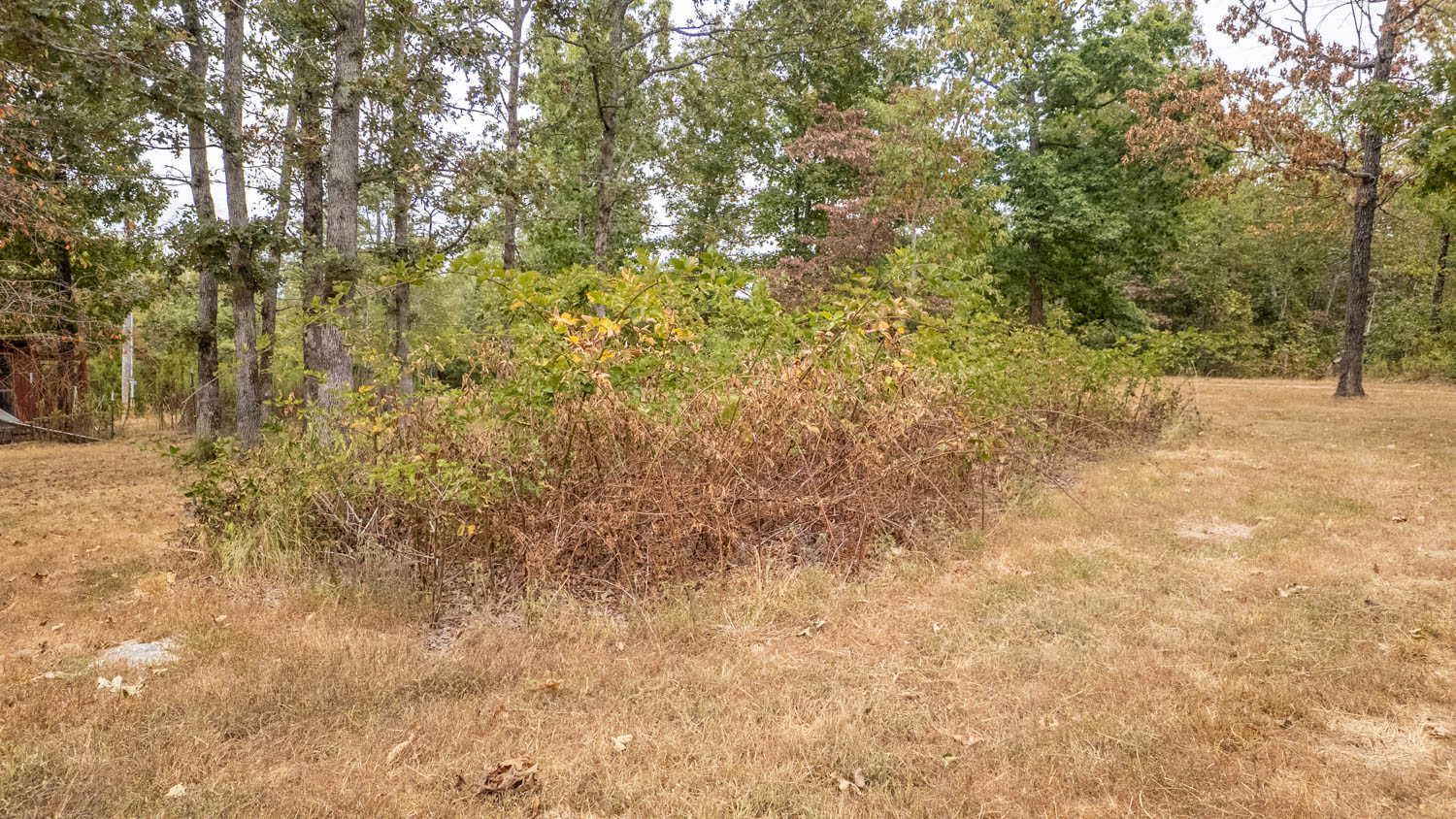 Hunting Property and Home in the Missouri Ozarks