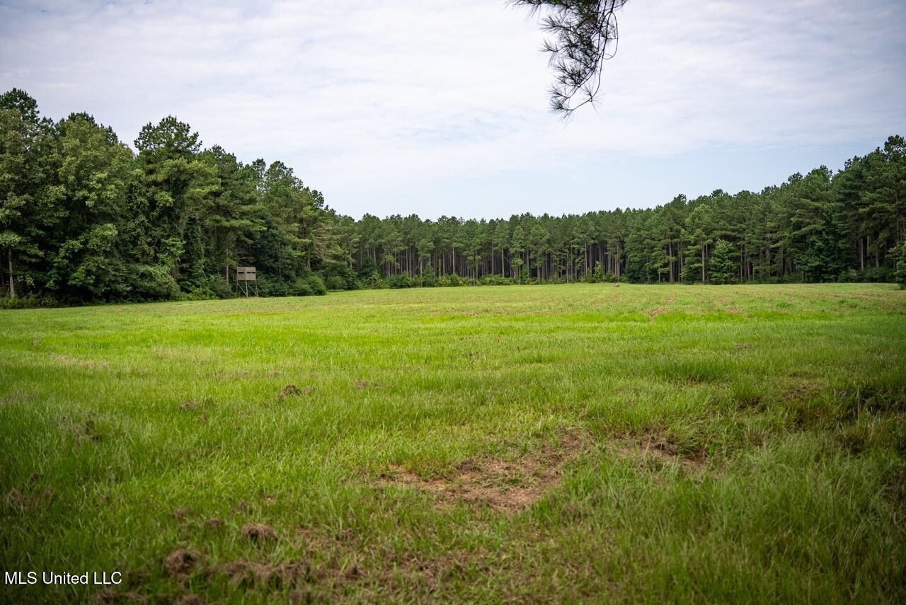 Petit Amite – Luxury Hunting Retreat in Amite County, MS