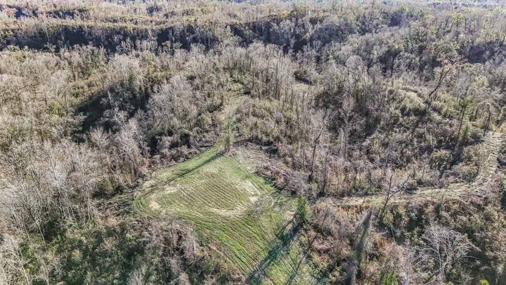 Rodney MS Hunting Land with Tiny Home & Lodge Potential
