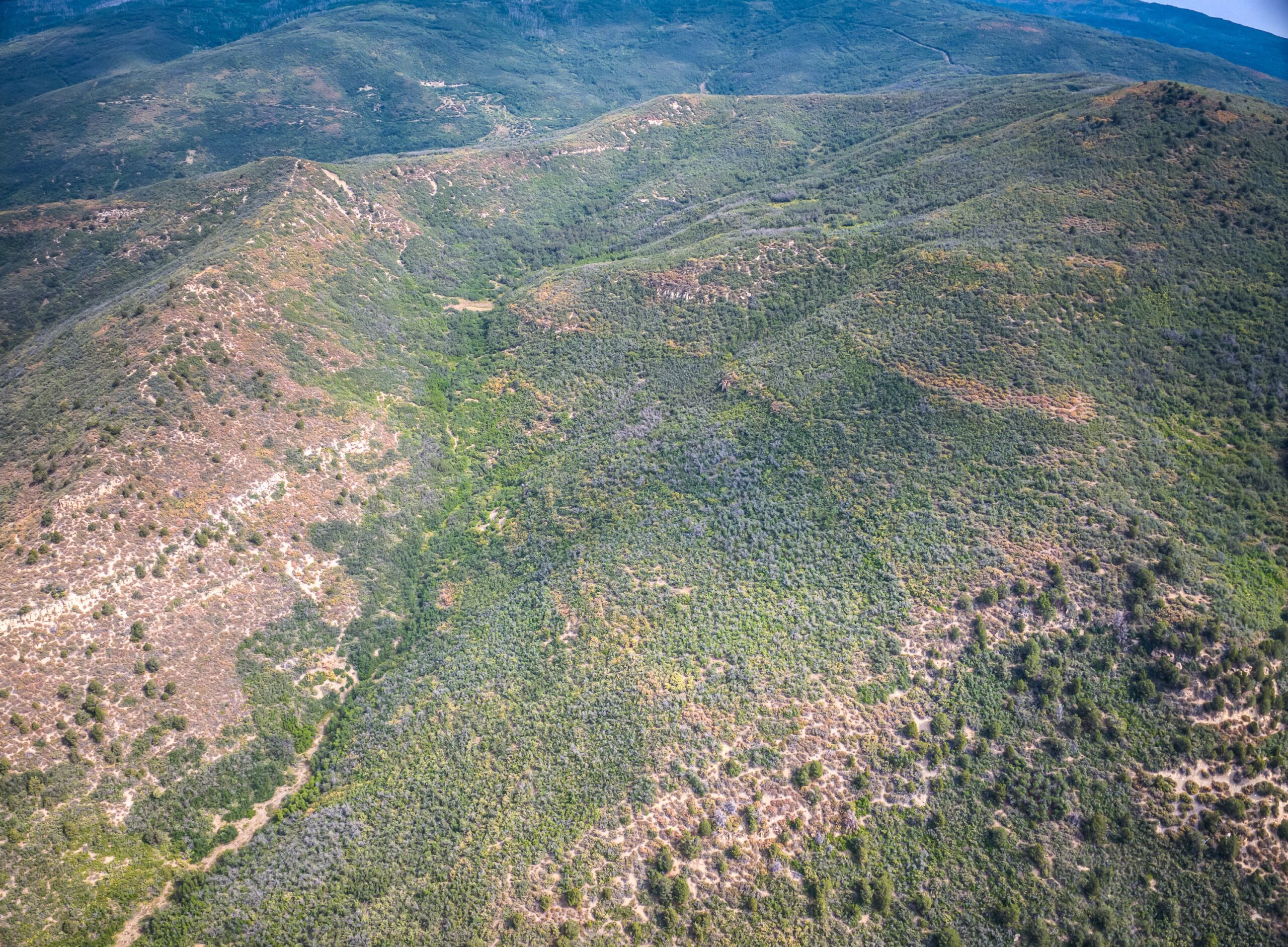 Whiskey Jug Ranch 465 Acre CO Hunting And Recreation Property With Cabin